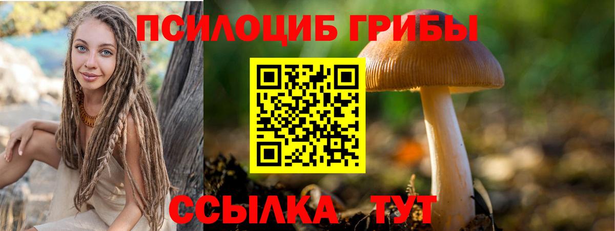 Псилоцибиновые грибы Psilocybine cubensis Шарыпово